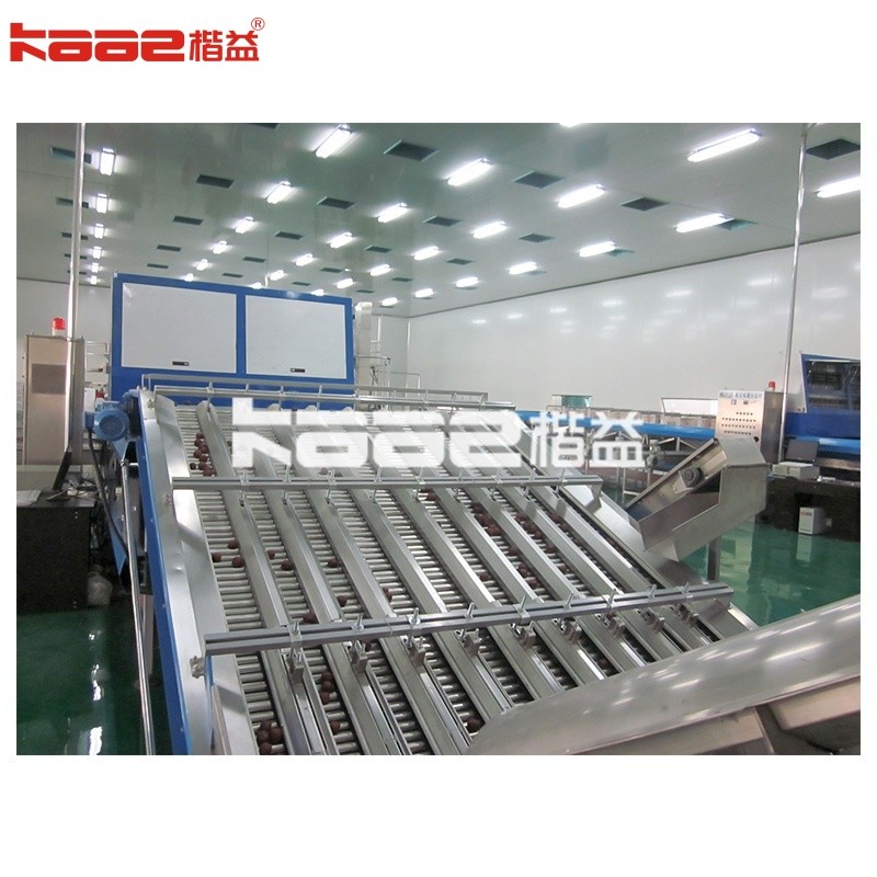 0.5-30T/H Automatic Photoelectric Fruit Sorting System Automatic Fruit Grading Machine